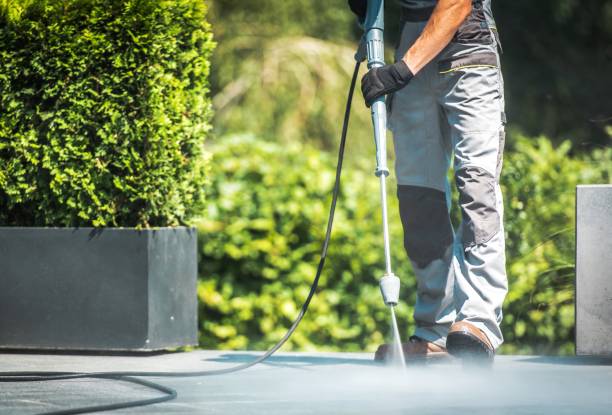 Best Roof Washing  in Swedesboro, NJ
