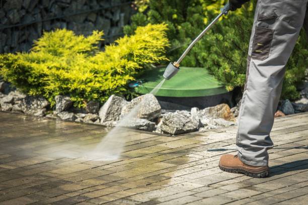Best Pre-Holiday Cleaning  in Swedesboro, NJ