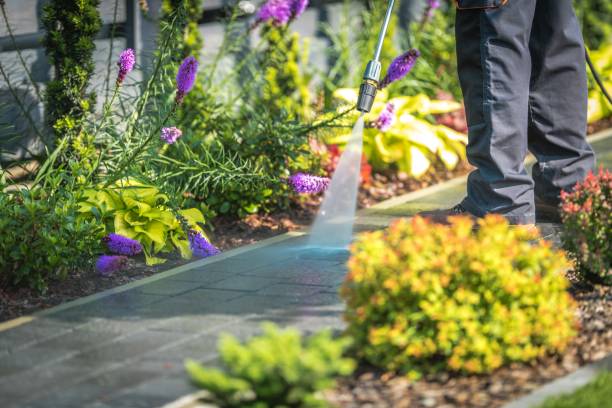 Best Soft Washing  in Swedesboro, NJ